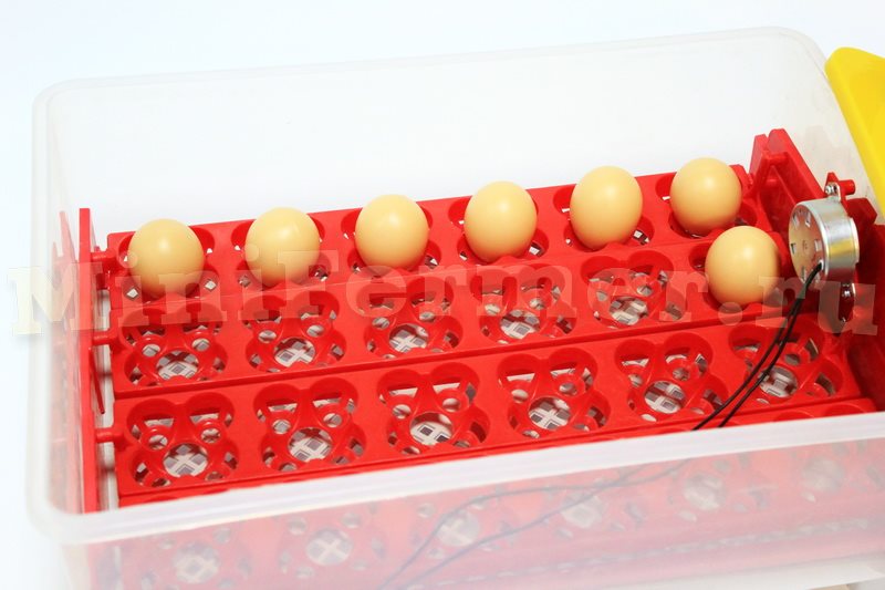 Лотки для яиц инкубатора И-24