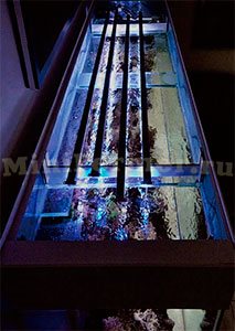 освещение лампой gl45w-l18 аквариума