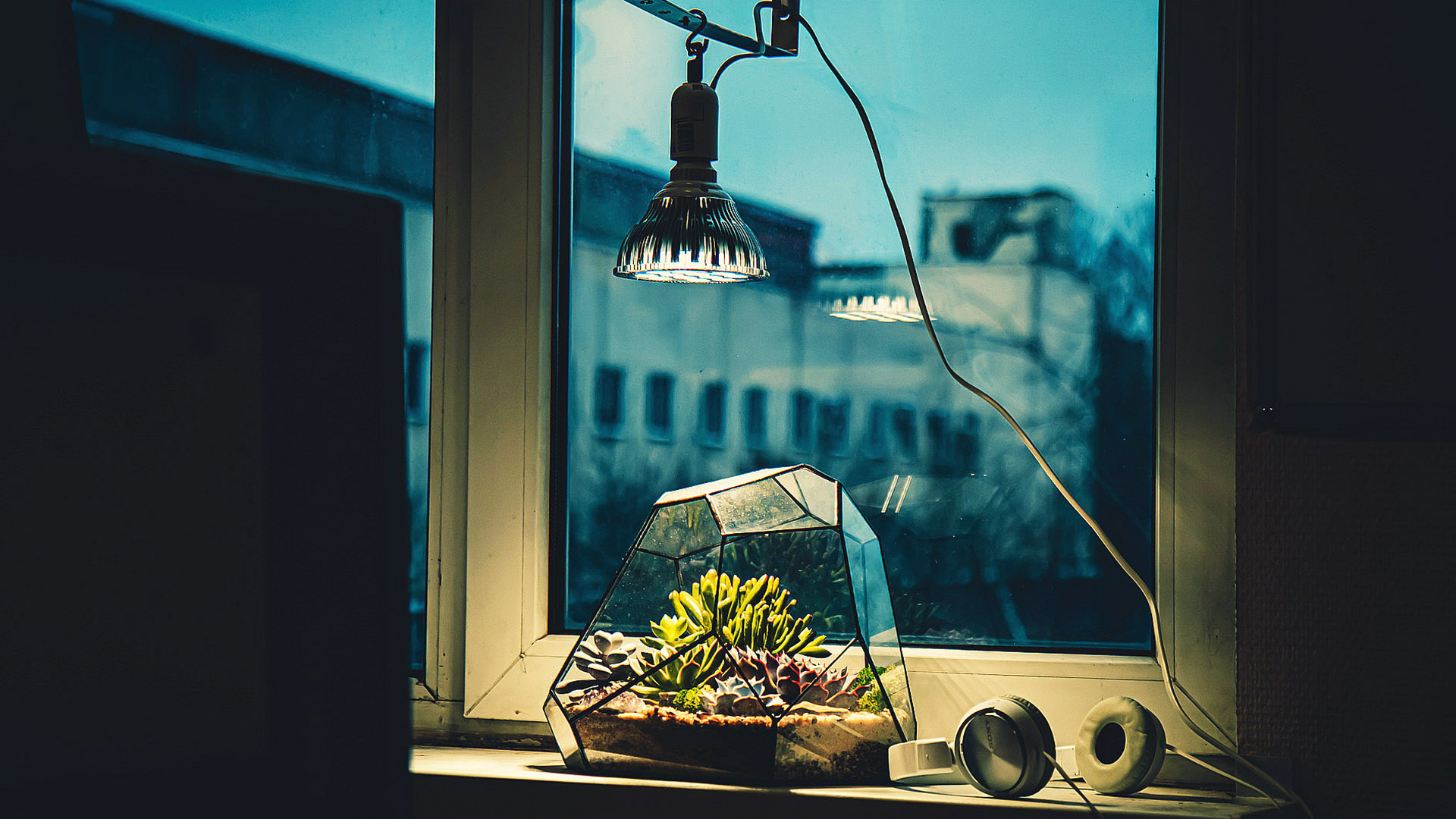 Светодиодное освещение растений
