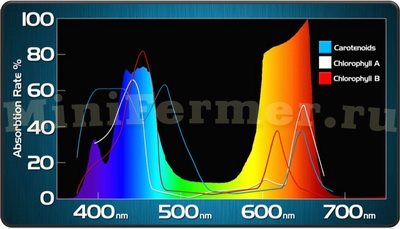 Тестовые графики светодиодных фитоламп