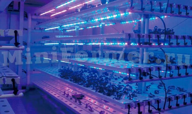 использование в гидропонной установке светодиодной лампы для аквариумов