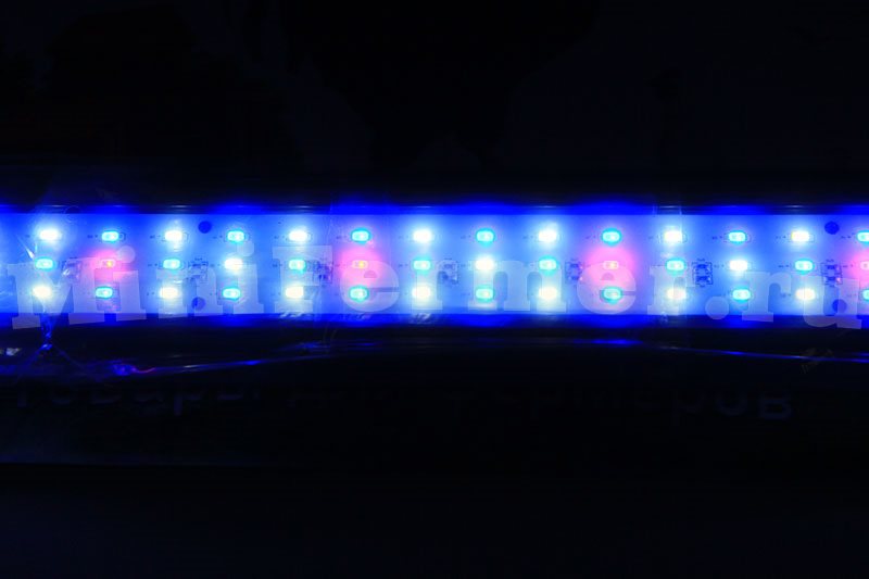 свет светодиодной лампы для аквариумов с таймером