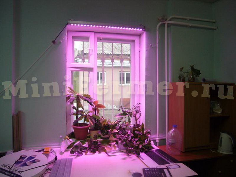 Самодельная подсветка для роста цветов на подоконнике и окне своими руками