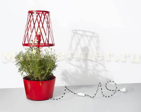 Лампа накаливания для выращивания растений
