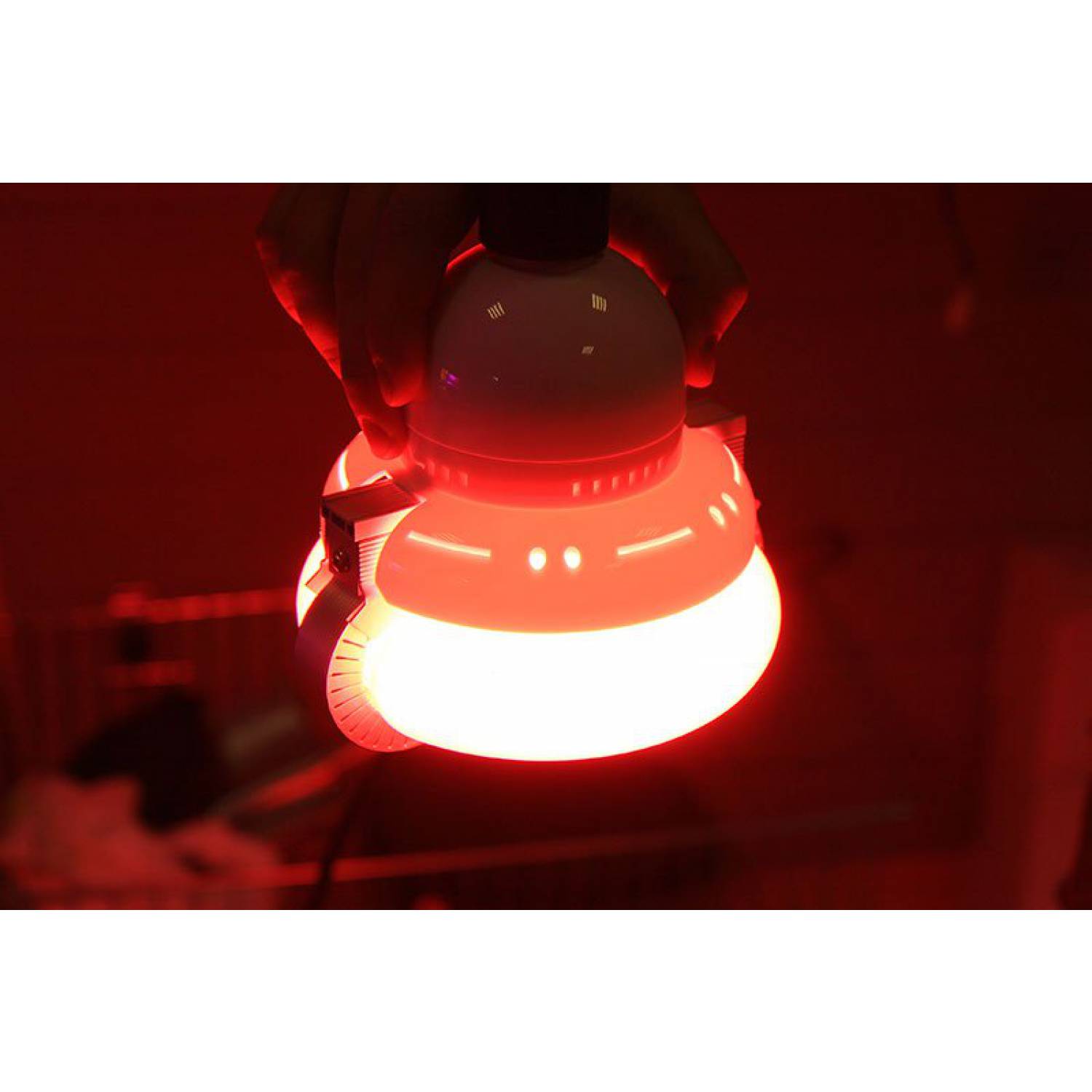 Индукционная лампа для растений R-50W (RED) E27