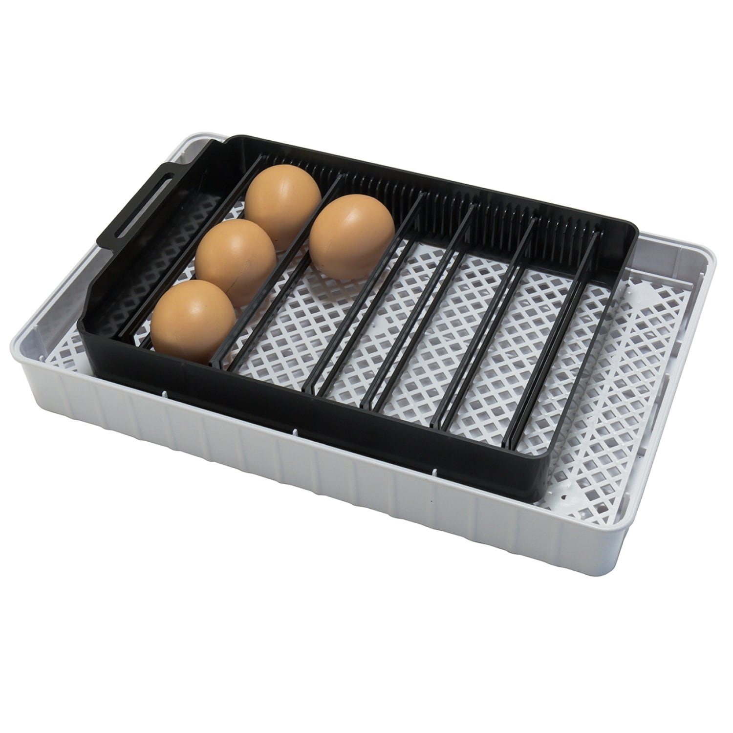Инкубатор для яиц автоматический И-12_1 на 12 яиц