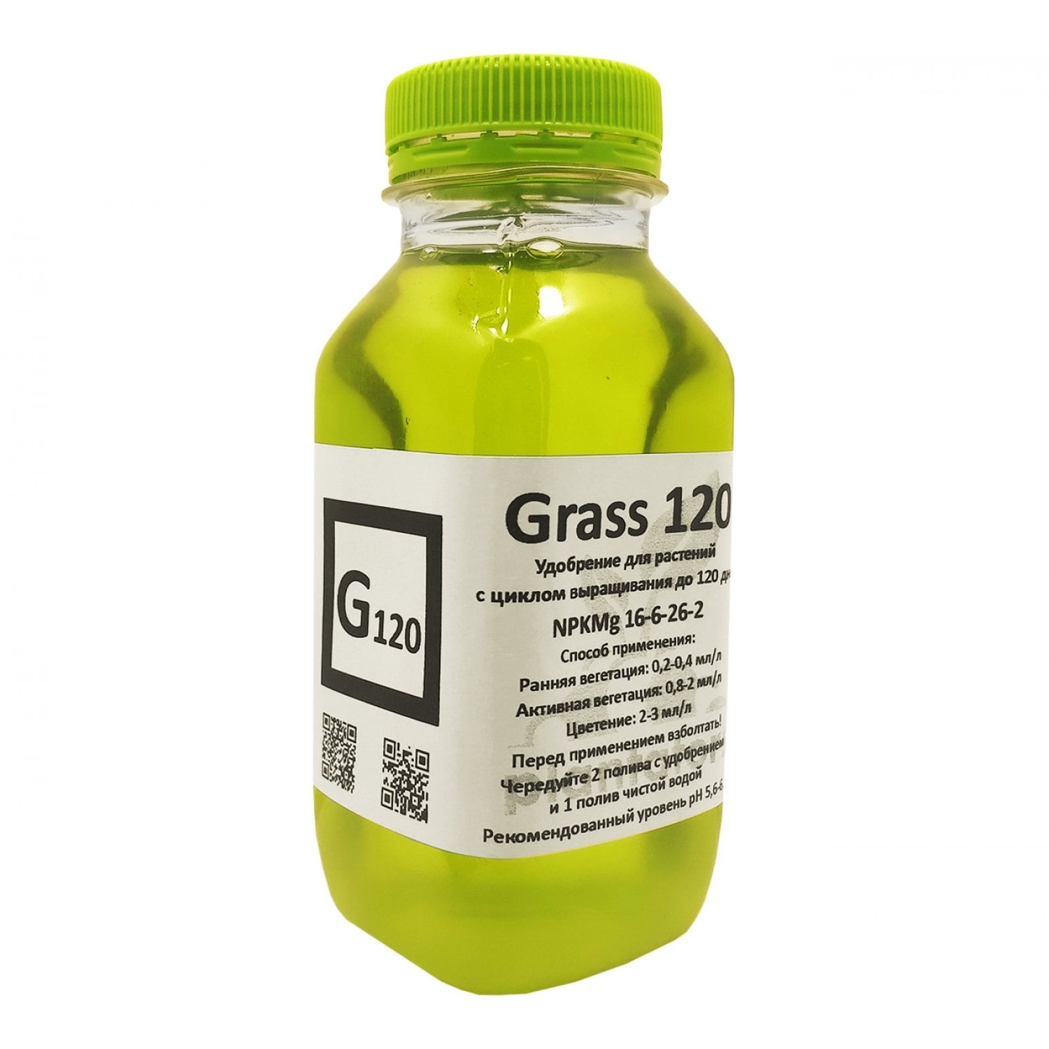 Grass 120