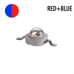 Фито светодиод (красный + синий) 5 Вт blue + red