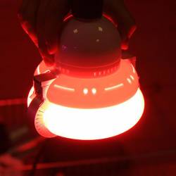 Индукционная лампа для растений R-80W (RED) E27