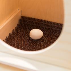 Гнездо для кур несушек с яйцесборником WoodBird EggBOX