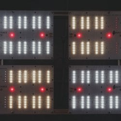 Комплект диммируемый  Quantum board 281B+pro 240 Вт (4х60)