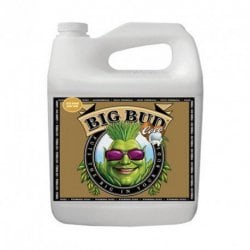 Big Bud Coco Liquid 0.25L
