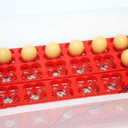 Инкубатор для яиц автоматический И-24