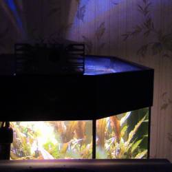 Фитолампа светодиодная для аквариумов